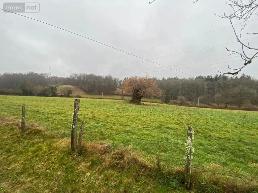 Maison a vendre Pleaux 15700 Cantal 15 3 pièces 37100 euros 15060/1254 009