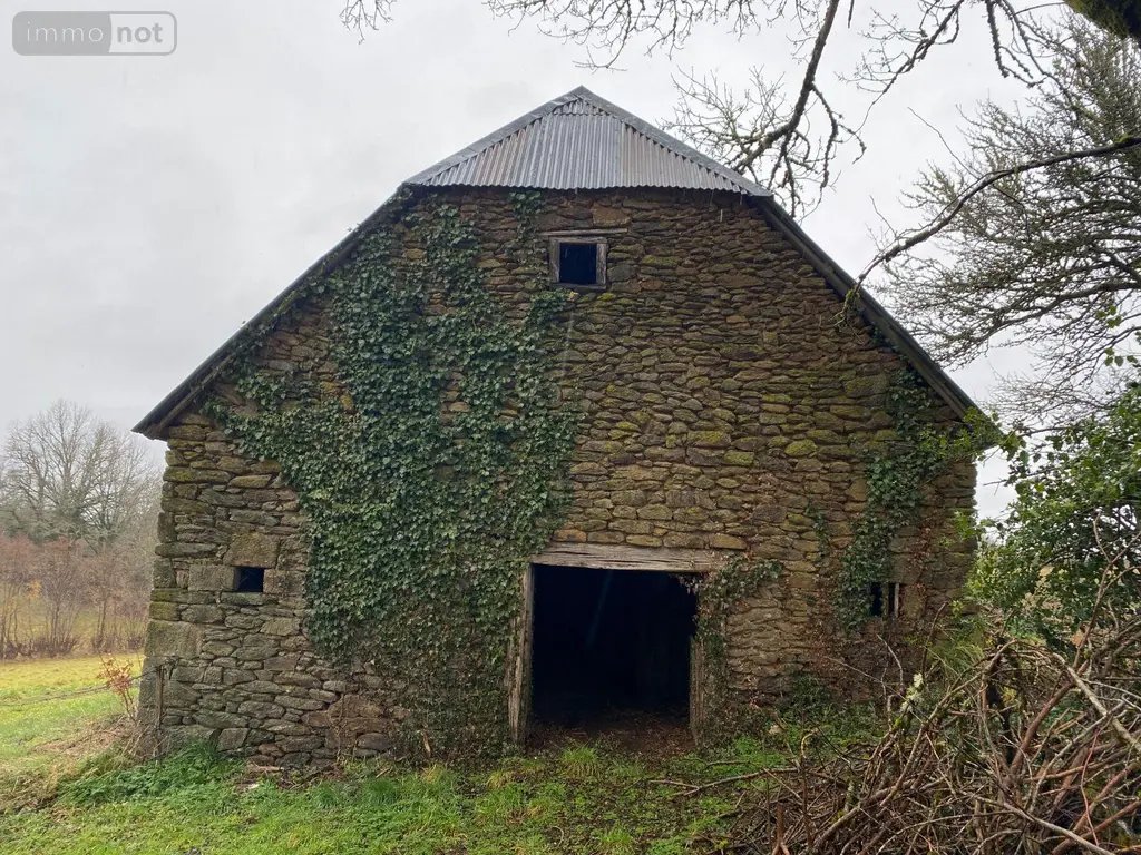 Divers a vendre Pleaux 15700 Cantal 15 42400 euros 15060/1255 003