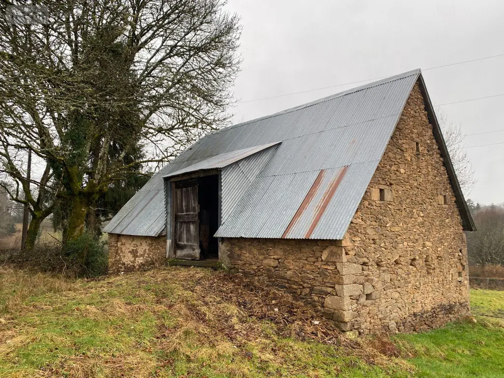 Divers a vendre Pleaux 15700 Cantal 15 42400 euros 15060/1255 004
