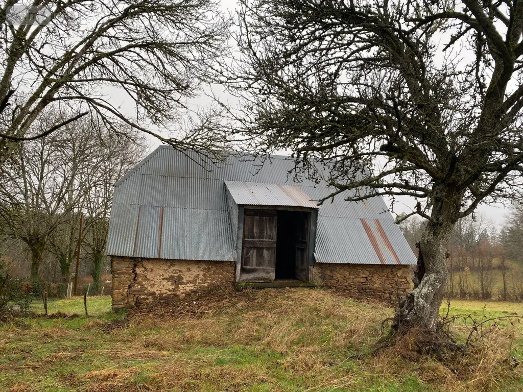 Divers a vendre Pleaux 15700 Cantal 15 42400 euros 15060/1255 005
