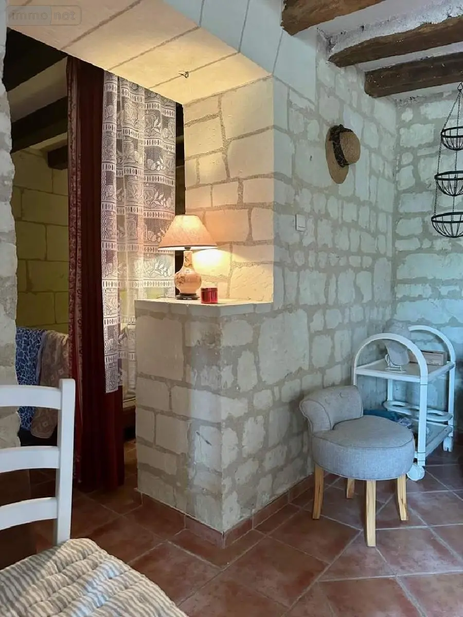 Maison a vendre Avoine 37420 Indre-et-Loire 37 225 m2 4 pièces 199999 euros 37049-115 003