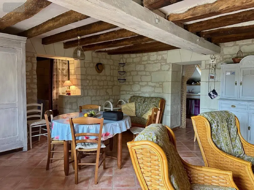 Maison a vendre Avoine 37420 Indre-et-Loire 37 225 m2 4 pièces 199999 euros 37049-115 009