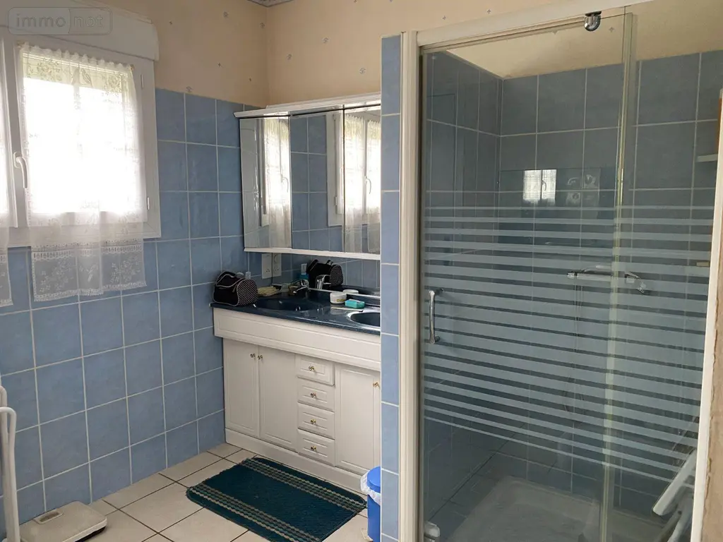 Maison a vendre Châtillon-sur-Indre 36700 Indre 36 100 m2 5 pièces 149600 euros 1052143 005