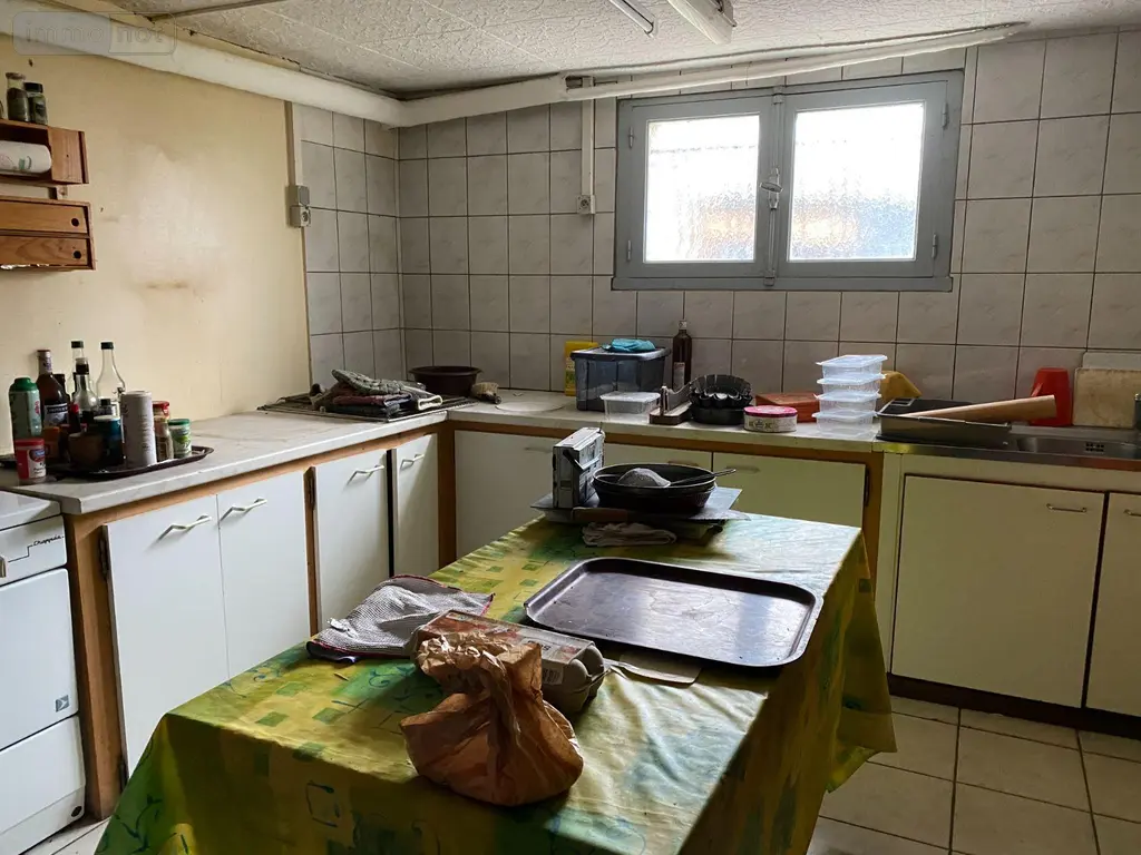 Maison a vendre Châtillon-sur-Indre 36700 Indre 36 100 m2 5 pièces 149600 euros 1052143 007