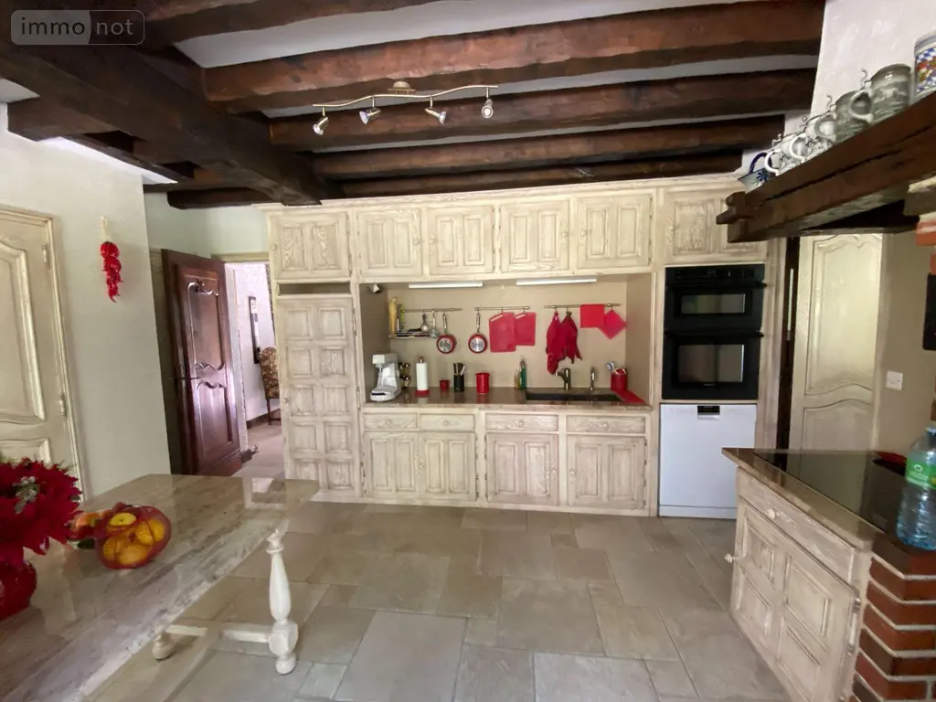Maison a vendre Châtillon-sur-Indre 36700 Indre 36 258 m2 9 pièces 1273000 euros 1050185 007