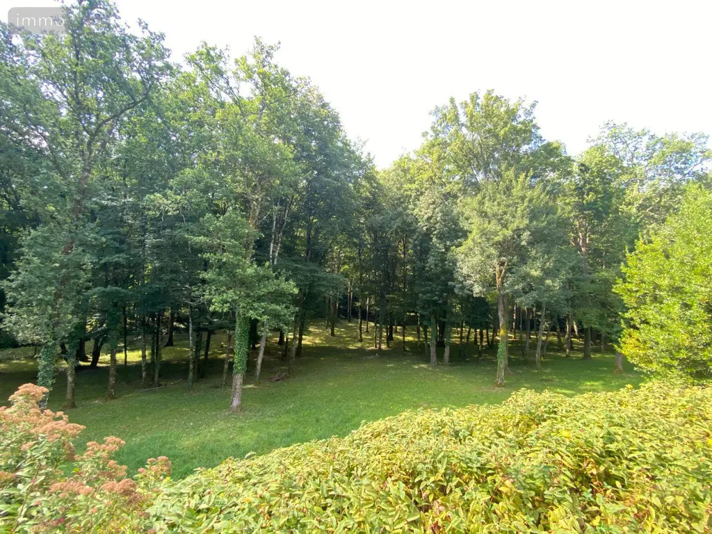 Maison a vendre Châtillon-sur-Indre 36700 Indre 36 258 m2 9 pièces 1273000 euros 1050185 015