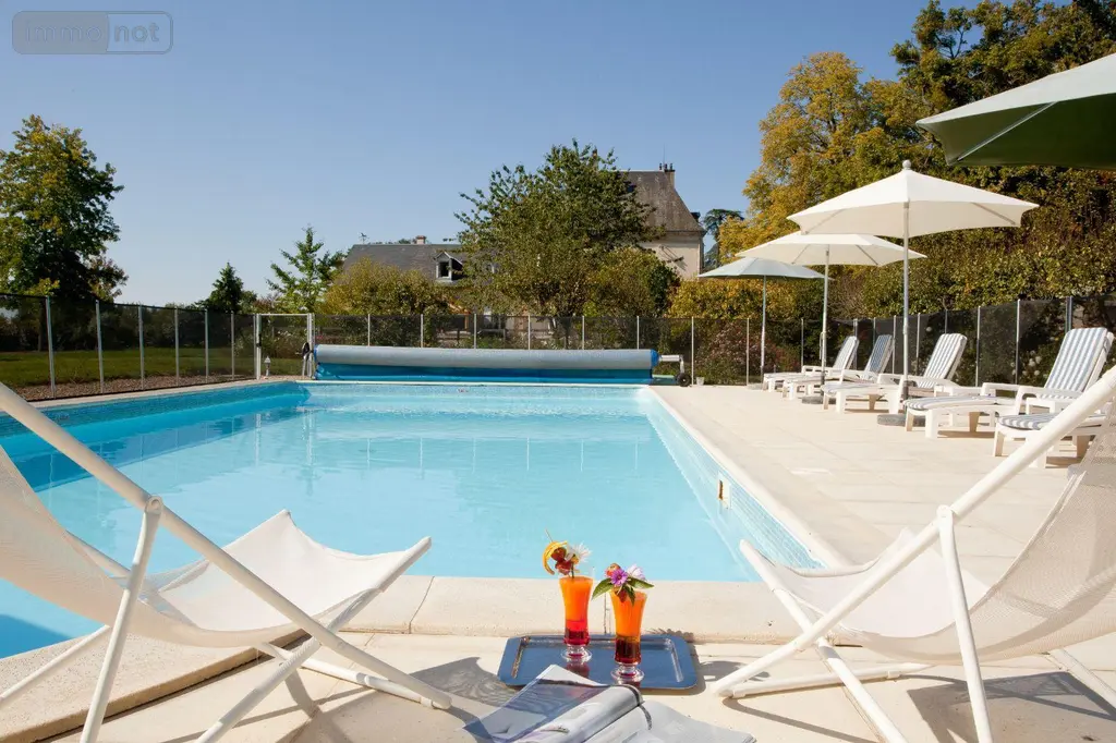 Propriete a vendre Ygrande 03160 Allier 03 968 m2 25 pièces 2625000 euros 150 012