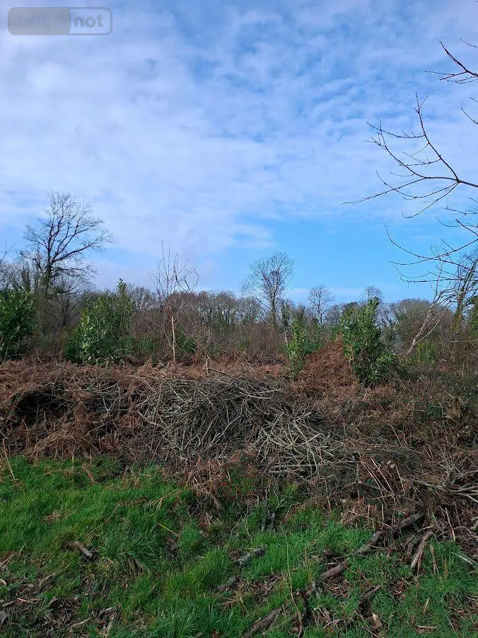 Terrains de loisirs bois etangs a vendre Clohars-Carnoët 29360 Finistère 29 52950 euros 29114-126 001
