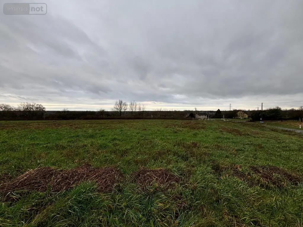 Terrain a batir a vendre Cuiseaux 71480 Saône-et-Loire 71 3231 m2 39000 euros 71111-119 001