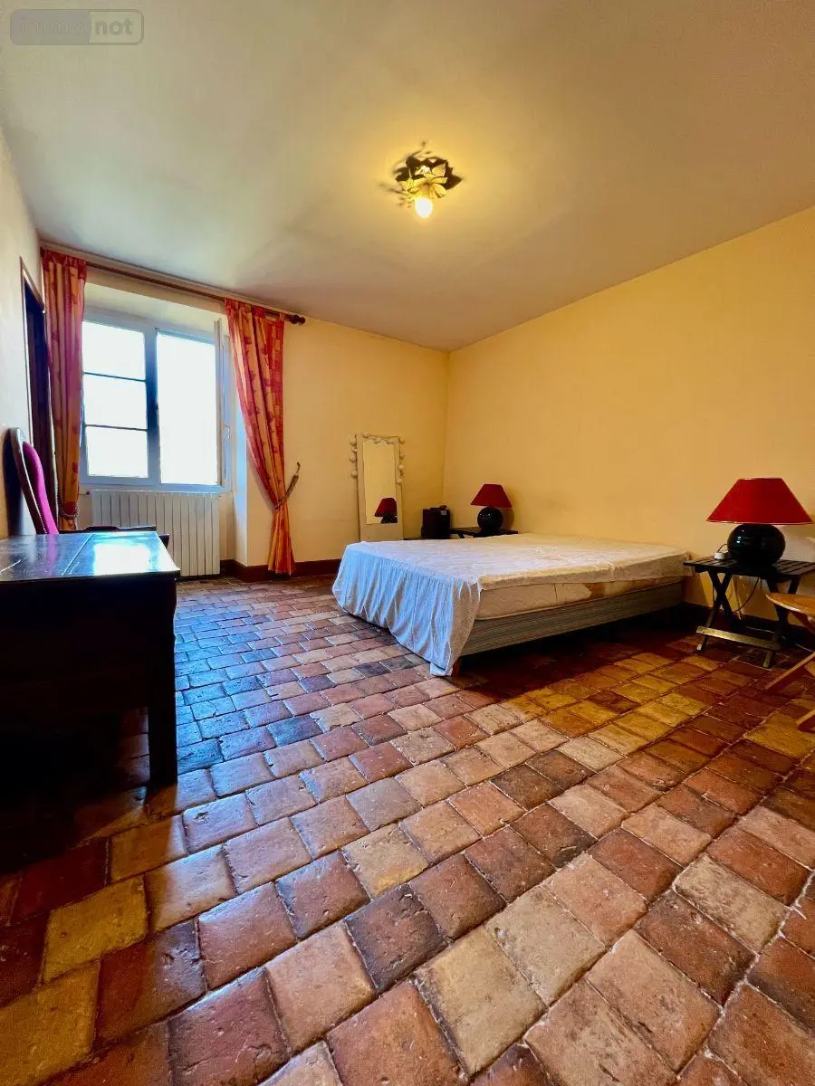 Maison a vendre Luçay-le-Mâle 36360 Indre 36 263 m2 10 pièces 209500 euros 016/448 010