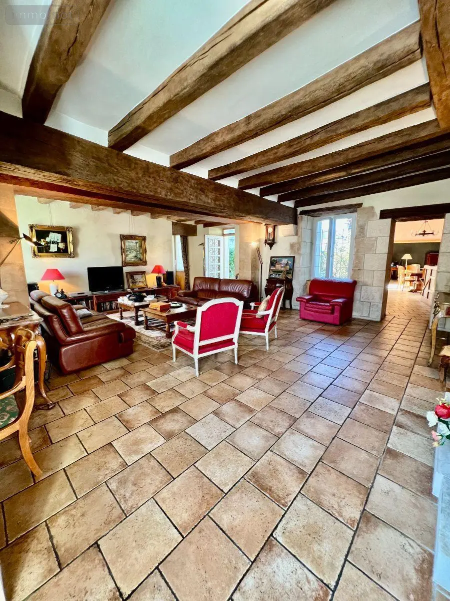 Maison a vendre Luçay-le-Mâle 36360 Indre 36 263 m2 10 pièces 209500 euros 016/448 004