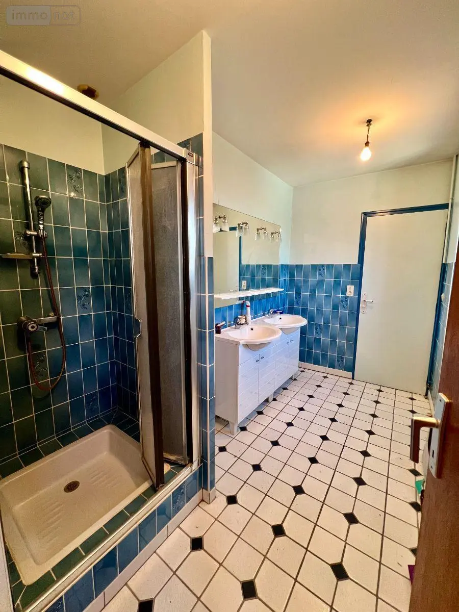 Maison a vendre Luçay-le-Mâle 36360 Indre 36 263 m2 10 pièces 209500 euros 016/448 013