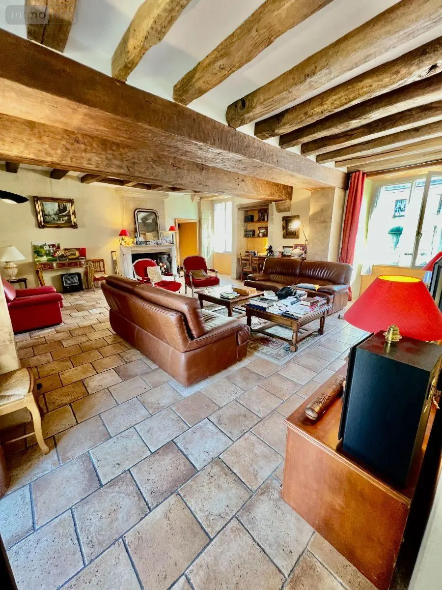 Maison a vendre Luçay-le-Mâle 36360 Indre 36 263 m2 10 pièces 209500 euros 016/448 002
