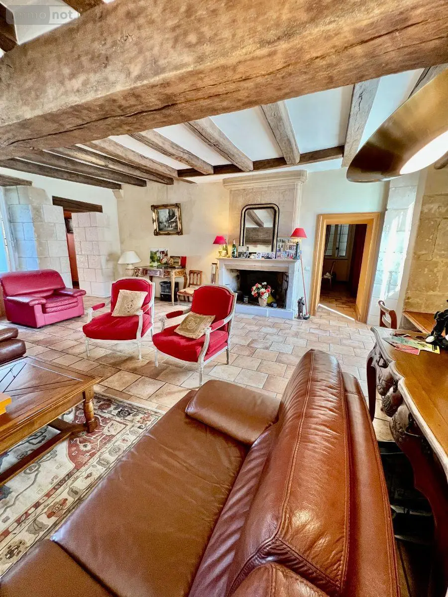Maison a vendre Luçay-le-Mâle 36360 Indre 36 263 m2 10 pièces 209500 euros 016/448 005
