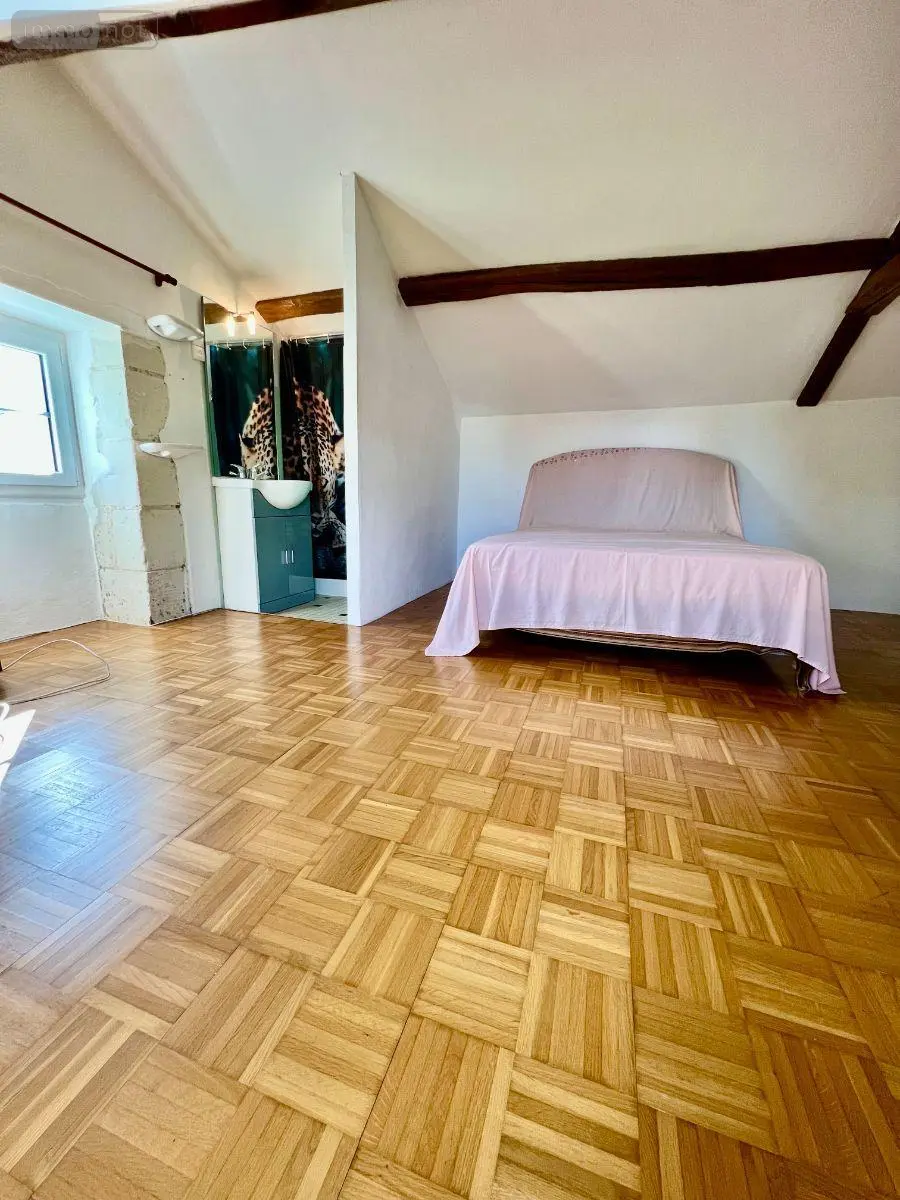 Maison a vendre Écueillé 36240 Indre 36 250 m2 10 pièces 239500 euros 016/449 018