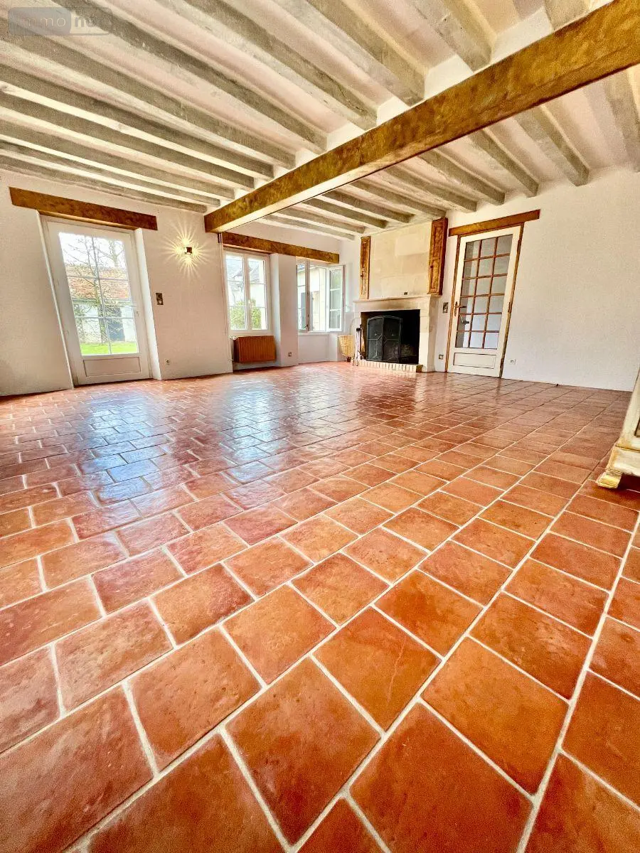 Maison a vendre Écueillé 36240 Indre 36 250 m2 10 pièces 239500 euros 016/449 007