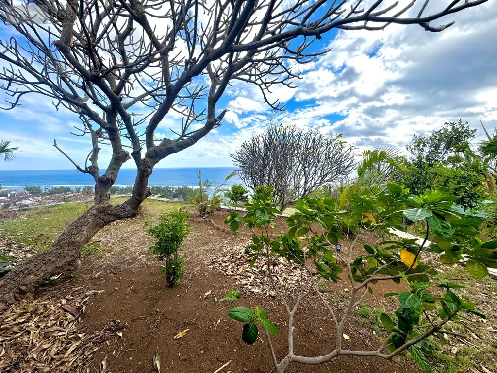 Maison a vendre Saint-Leu 97436 La Réunion 974 160 m2 8 pièces 1260000 euros 97424/244 030