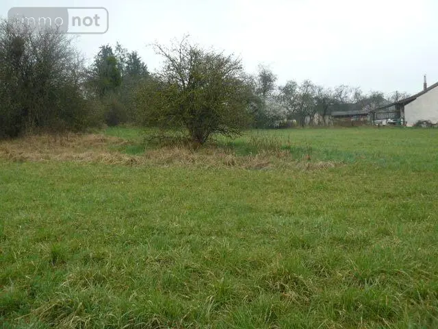 Terrain a batir a vendre Domèvre-sur-Durbion 88330 Vosges 88 1450 m2 26000 euros 2266 002