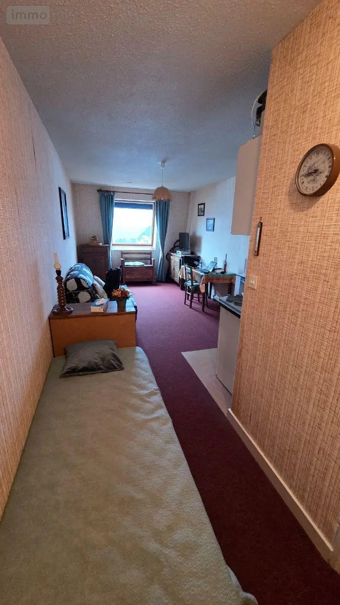 Appartement a vendre Laveissière 15300 Cantal 15 23 m2 46200 euros FG/2497 003