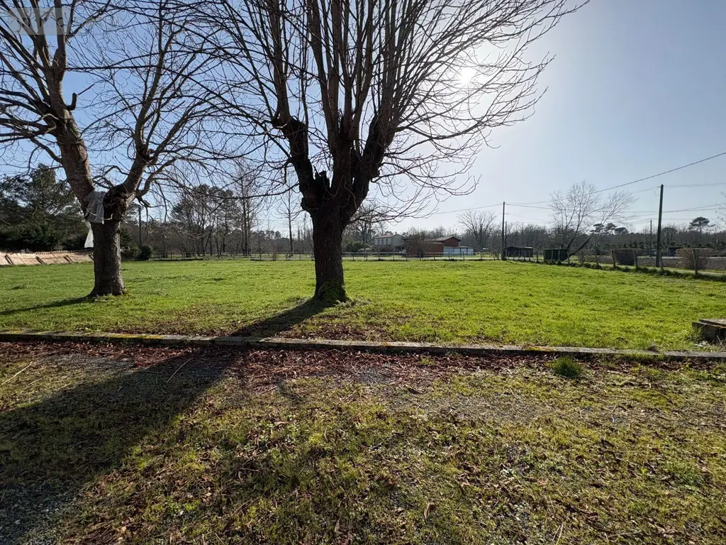 Maison a vendre Balizac 33730 Gironde 33 156 m2 5 pièces 202000 euros 026/1025 012