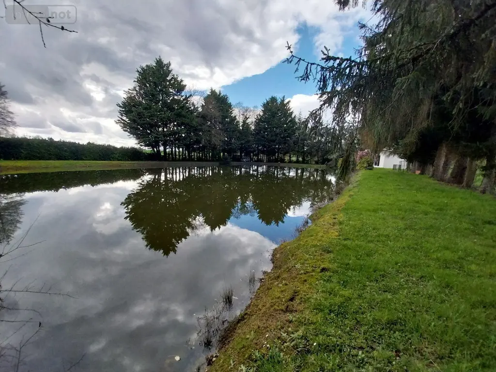 Terrains de loisirs bois etangs a vendre Cuillé 53540 Mayenne 53 69800 euros 35131-222 006