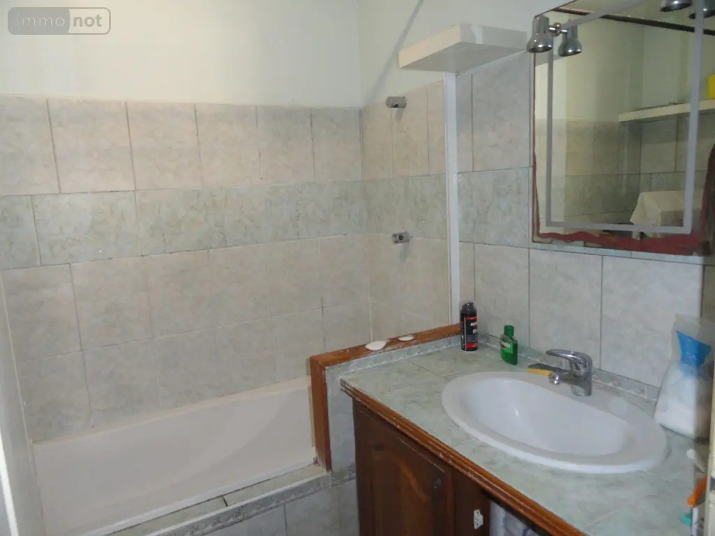 Appartement a vendre Saint-Gilles 30800 Gard 30 36 m2 2 pièces 76000 euros 11411/447 006