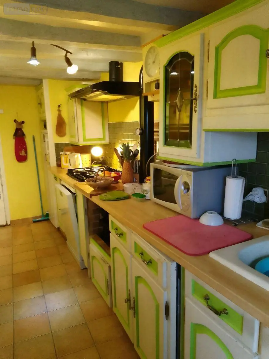 Maison a vendre Palluau-sur-Indre 36500 Indre 36 58 m2 3 pièces 80000 euros 1051987 005