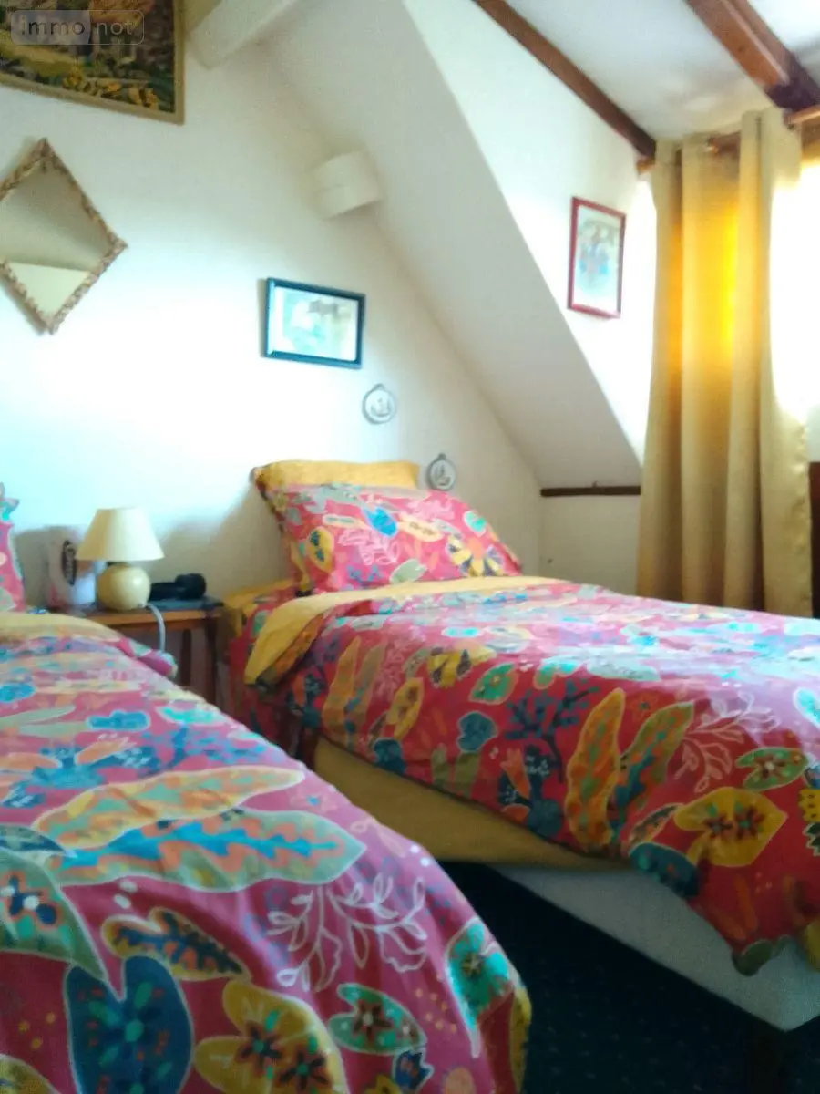 Maison a vendre Palluau-sur-Indre 36500 Indre 36 58 m2 3 pièces 80000 euros 1051987 006