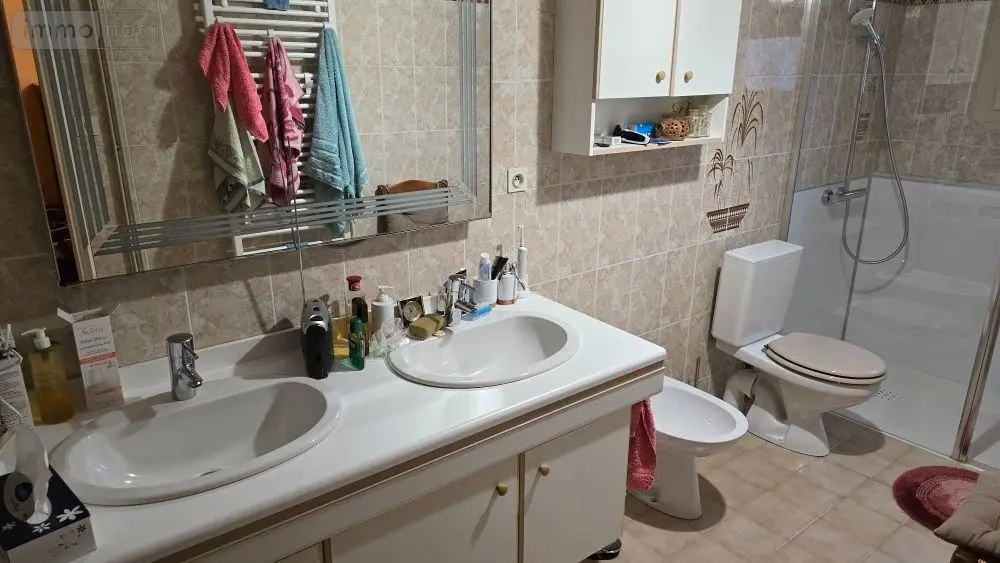 Maison a vendre Brioux-sur-Boutonne 79170 Deux-Sèvres 79 173 m2 6 pièces 204000 euros 13500 009