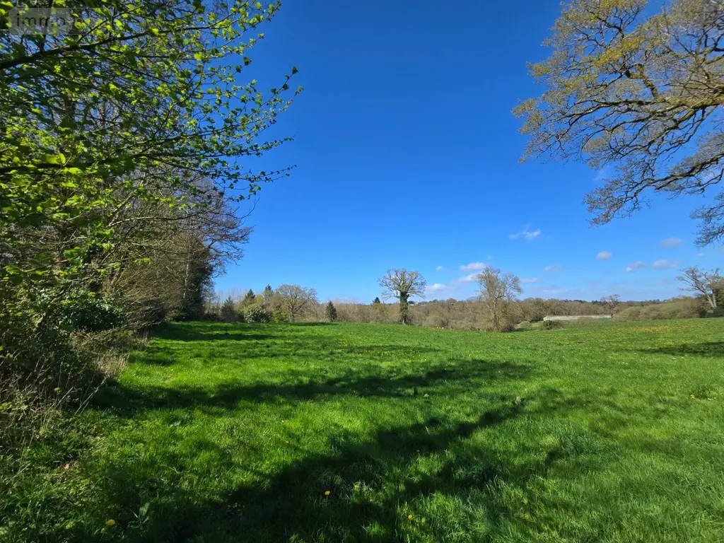 Propriete a vendre Saint-Jacut-les-Pins 56220 Morbihan 56 200 m2 432736 euros 143/259M 019