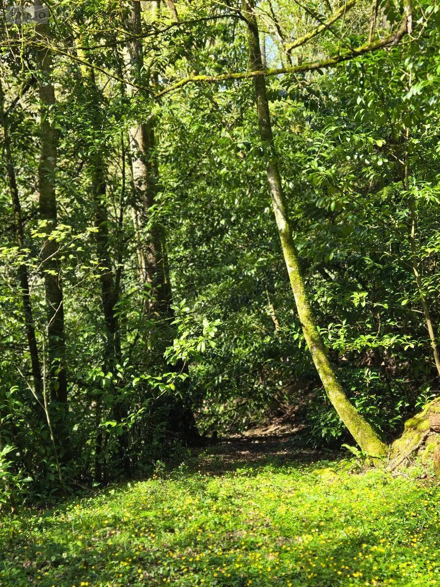Propriete a vendre Saint-Jacut-les-Pins 56220 Morbihan 56 200 m2 432736 euros 143/259M 022