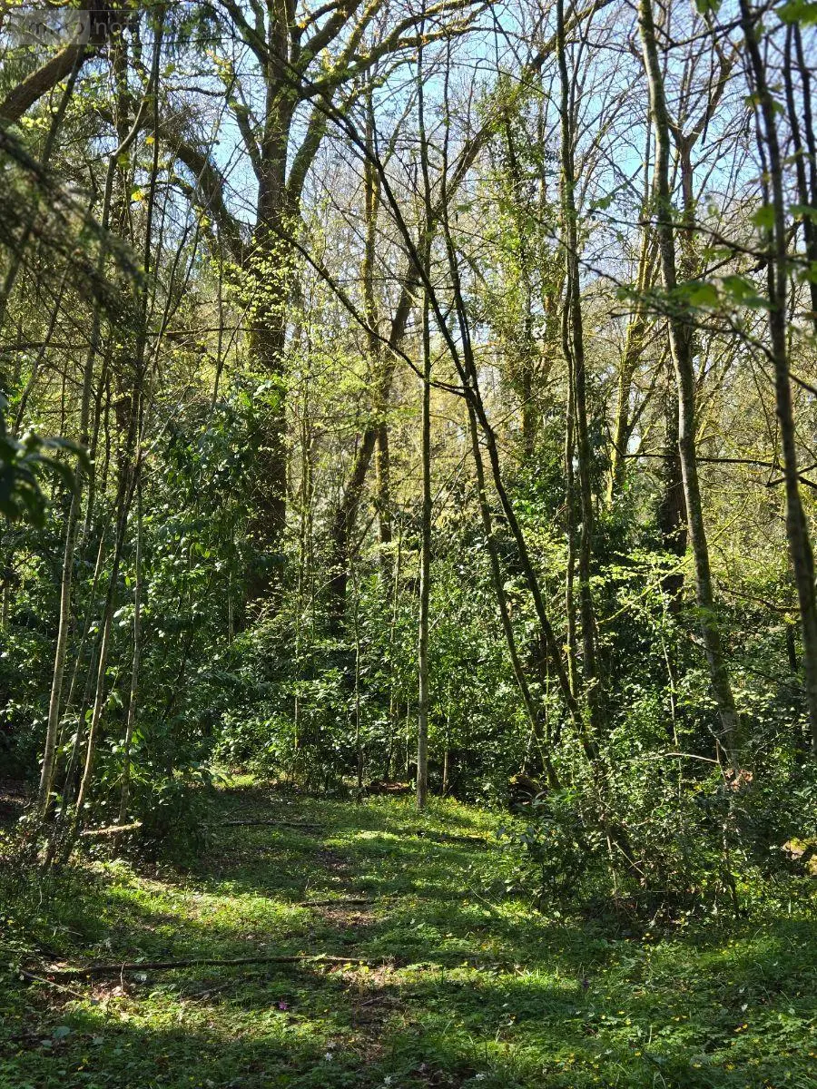 Propriete a vendre Saint-Jacut-les-Pins 56220 Morbihan 56 200 m2 432736 euros 143/259M 023