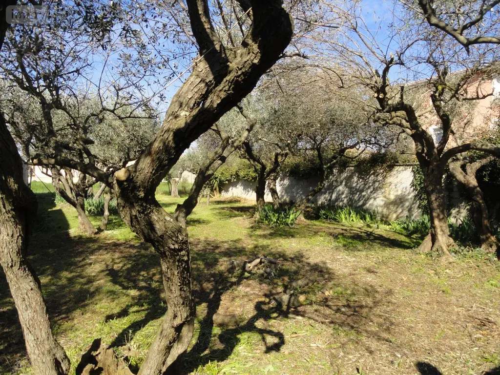 Terrain a batir a vendre Saint-Gilles 30800 Gard 30 99000 euros 11411/451 002