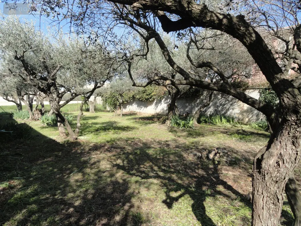 Terrain a batir a vendre Saint-Gilles 30800 Gard 30 99000 euros 11411/451 003