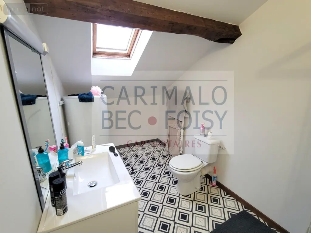 Immeuble de rapport a vendre Marboué 28200 Eure-et-Loir 28 170000 euros RC/976 010