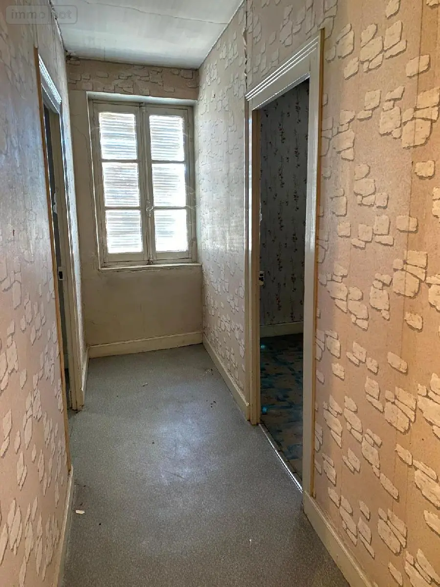 Immeuble de rapport a vendre Digoin 71160 Saône-et-Loire 71 95 m2 5 pièces 100160 euros M-E-OU 014