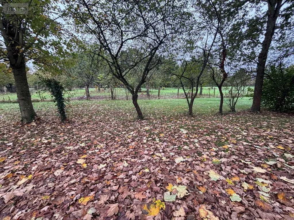 Propriete a vendre Noyal-Châtillon-sur-Seiche 35230 Ille-et-Vilaine 35 495 m2 10 pièces 779250 euros 35129-6749 006