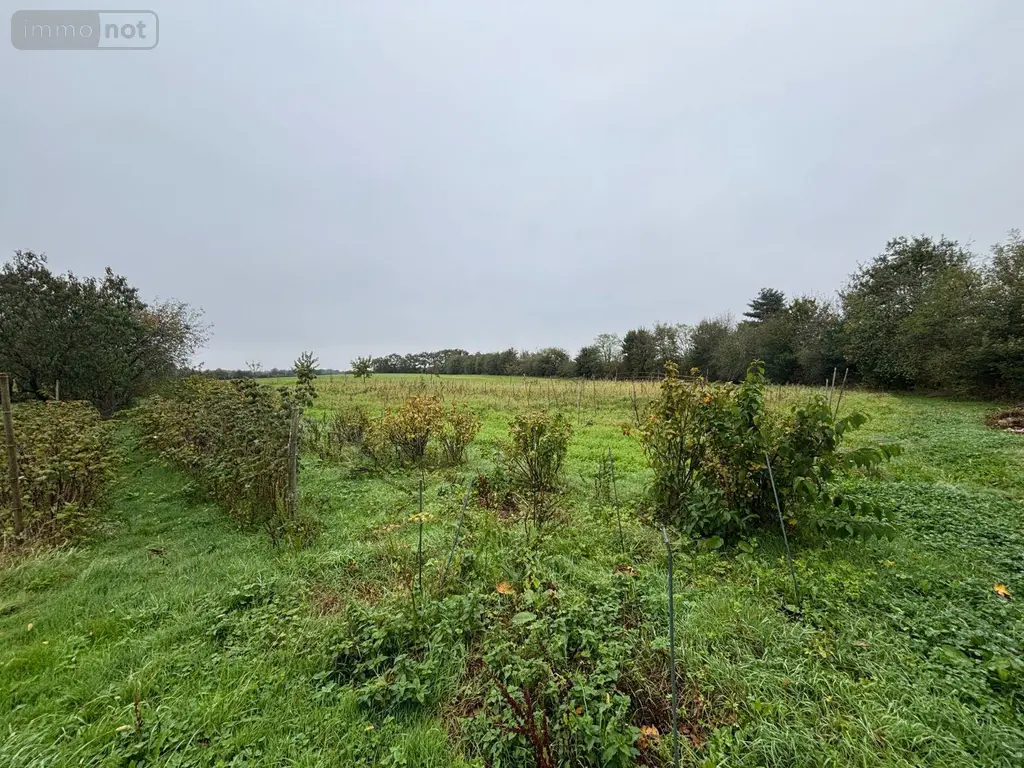 Propriete a vendre Noyal-Châtillon-sur-Seiche 35230 Ille-et-Vilaine 35 495 m2 10 pièces 779250 euros 35129-6749 007