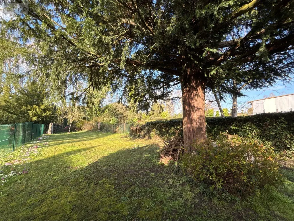 Immeuble de rapport a vendre Estaires 59940 Nord 59 178 m2 6 pièces 292500 euros D2486 008