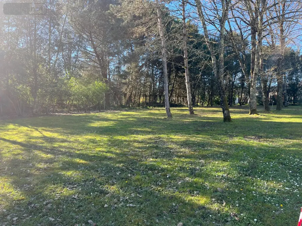 Terrain a batir a vendre Galgon 33133 Gironde 33 95400 euros 118/1640 001