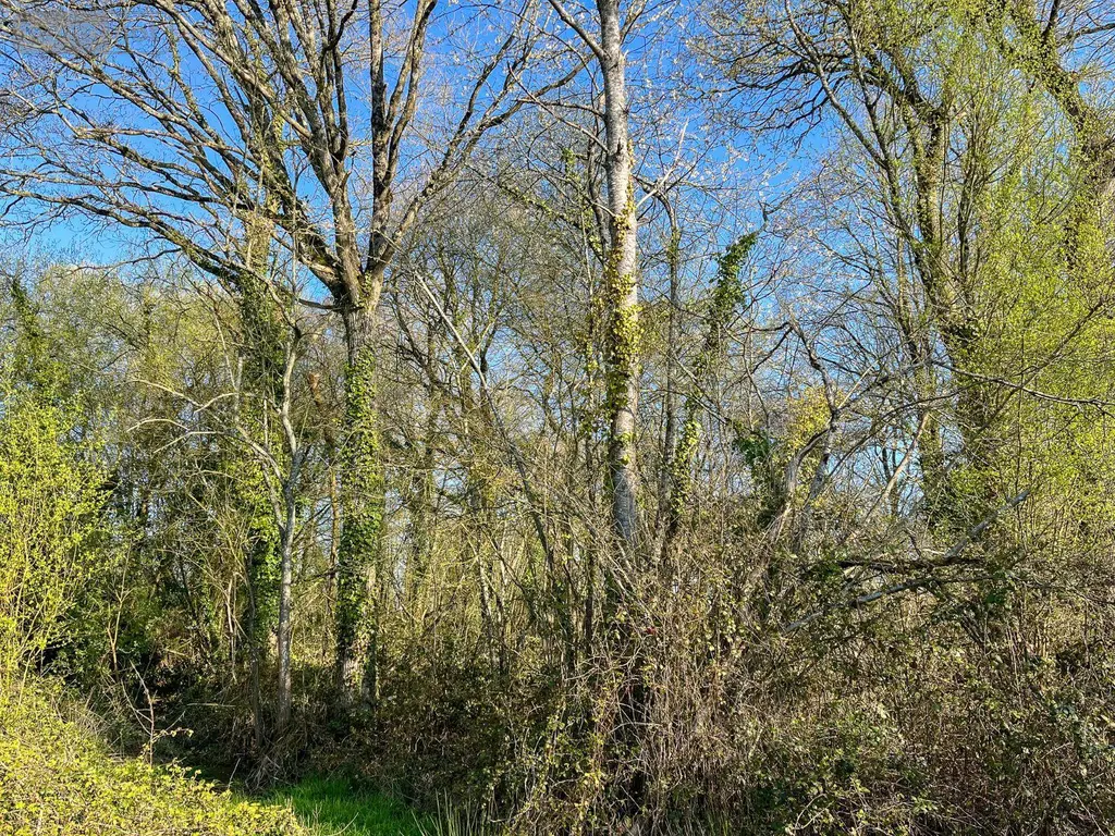 Terrains de loisirs bois etangs a vendre Hédé-Bazouges 35630 Ille-et-Vilaine 35 8500 euros 020/640 002