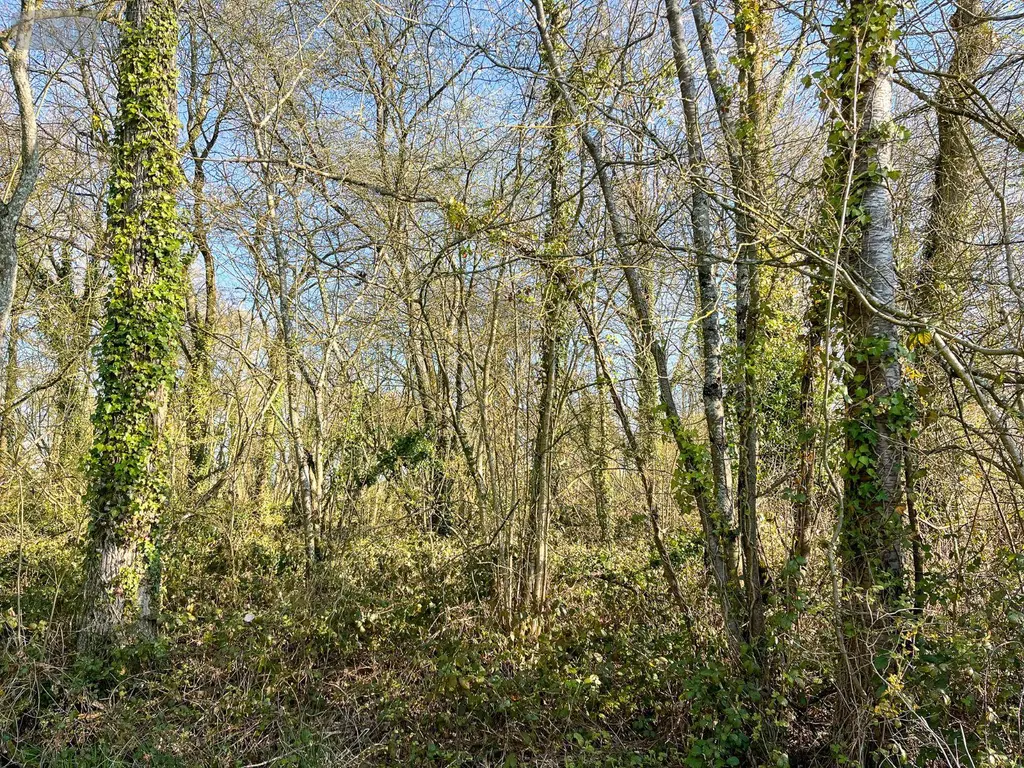 Terrains de loisirs bois etangs a vendre Hédé-Bazouges 35630 Ille-et-Vilaine 35 8500 euros 020/640 003