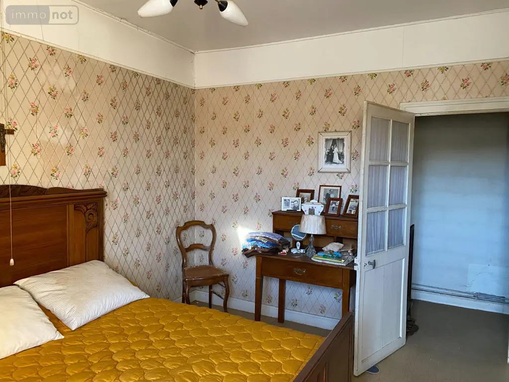 Maison a vendre Châtillon-sur-Indre 36700 Indre 36 77 m2 4 pièces 46780 euros 1048880 005