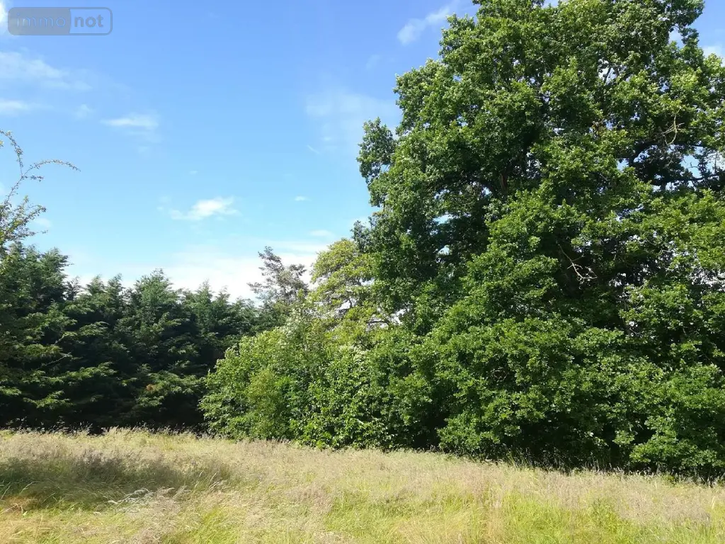 Maison a vendre Chasné-sur-Illet 35250 Ille-et-Vilaine 35 150 m2 6 pièces 261250 euros 137/3927 099