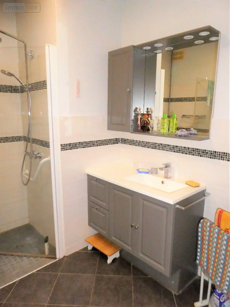 Maison a vendre Bléré 37150 Indre-et-Loire 37 101 m2 219810 euros 11893/502 009