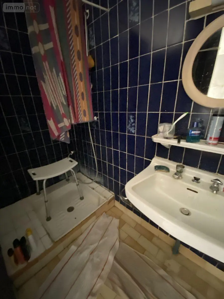 Maison a vendre Azay-le-Ferron 36290 Indre 36 50 m2 2 pièces 22400 euros 1050964 008