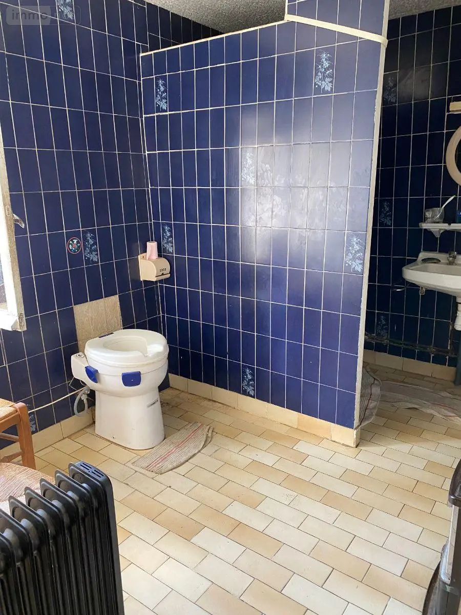 Maison a vendre Azay-le-Ferron 36290 Indre 36 50 m2 2 pièces 22400 euros 1050964 013