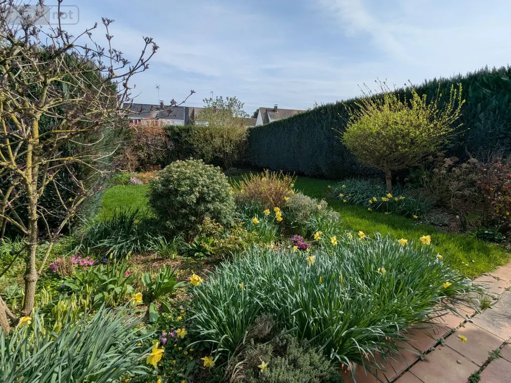 Maison a vendre Saint-Pol-sur-Ternoise 62130 Pas-de-Calais 62 81 m2 5 pièces 167560 euros 2451 004