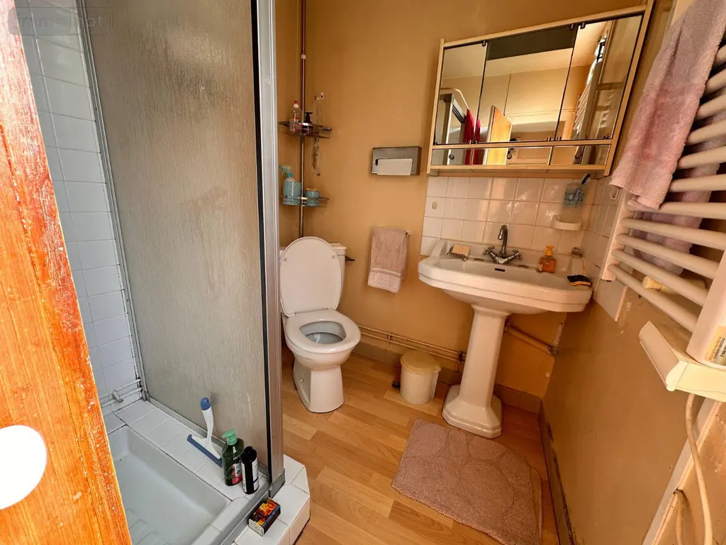 Maison a vendre Saint-Julien-du-Sault 89330 Yonne 89 87 m2 4 pièces 51000 euros 89062-97 010