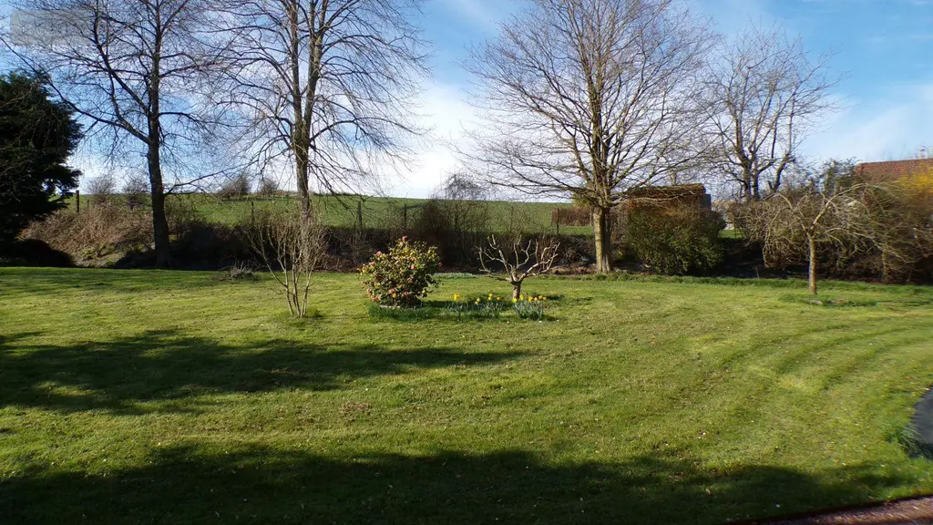 Maison a vendre Willencourt 62390 Pas-de-Calais 62 175 m2 7 pièces 370000 euros 083/2123 009